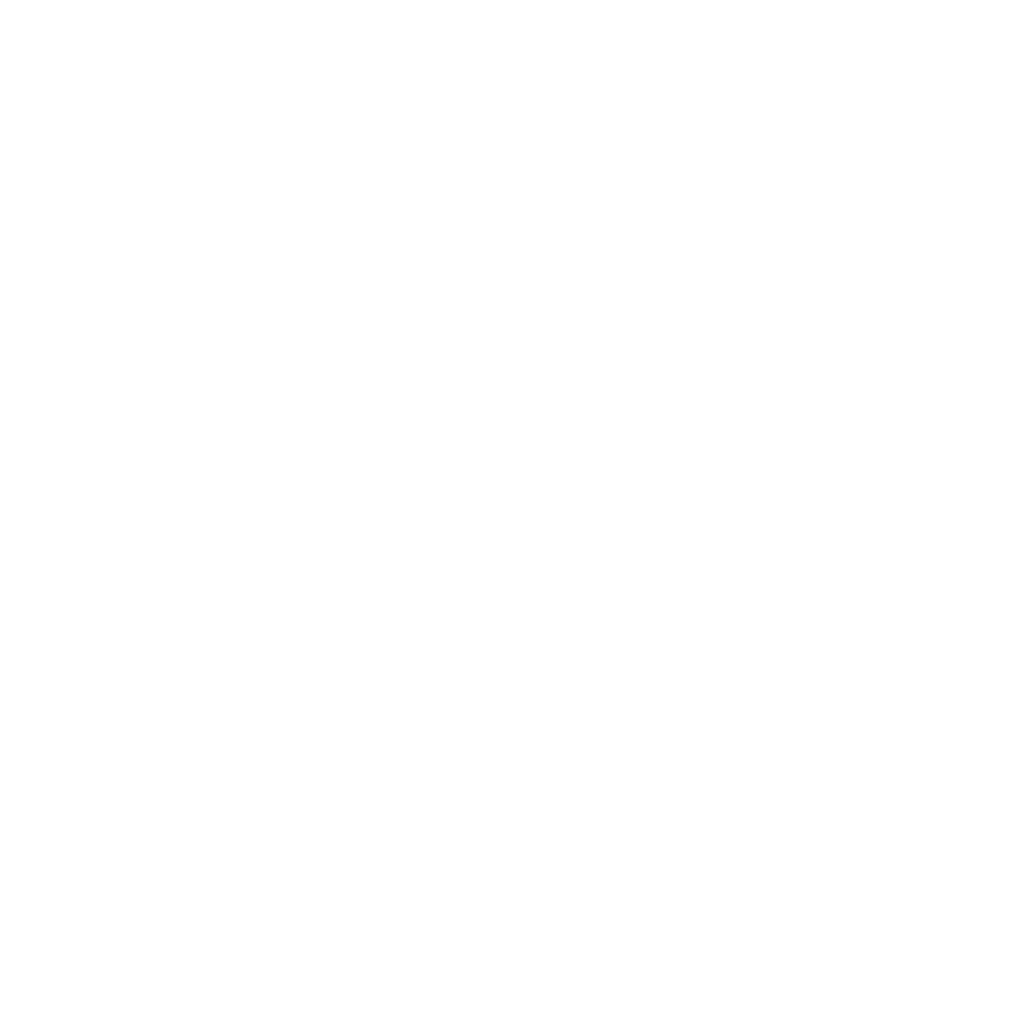 Zalmi